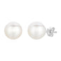 Freshwater Pearl Earrings in Sterling Silver in Hinged Snap Back