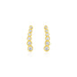 Yellow Gold 14k Graduated Circles Climber Post Earrings with Cubic Zirconias