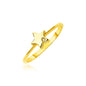 Yellow Gold 14k Polished Star Ring with Diamond