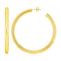 Yellow Gold 14k Polished Hoop Earrings in Pushback Clasps